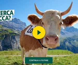 VINCI LA NATURA SVIZZERA CON IL NUOVO GUSTO RICOLA HERB-CARAMEL