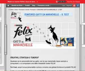 Gatti da Marachelle